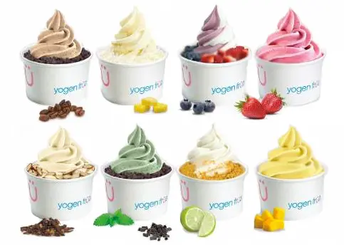 Franquicias de yogurt helado